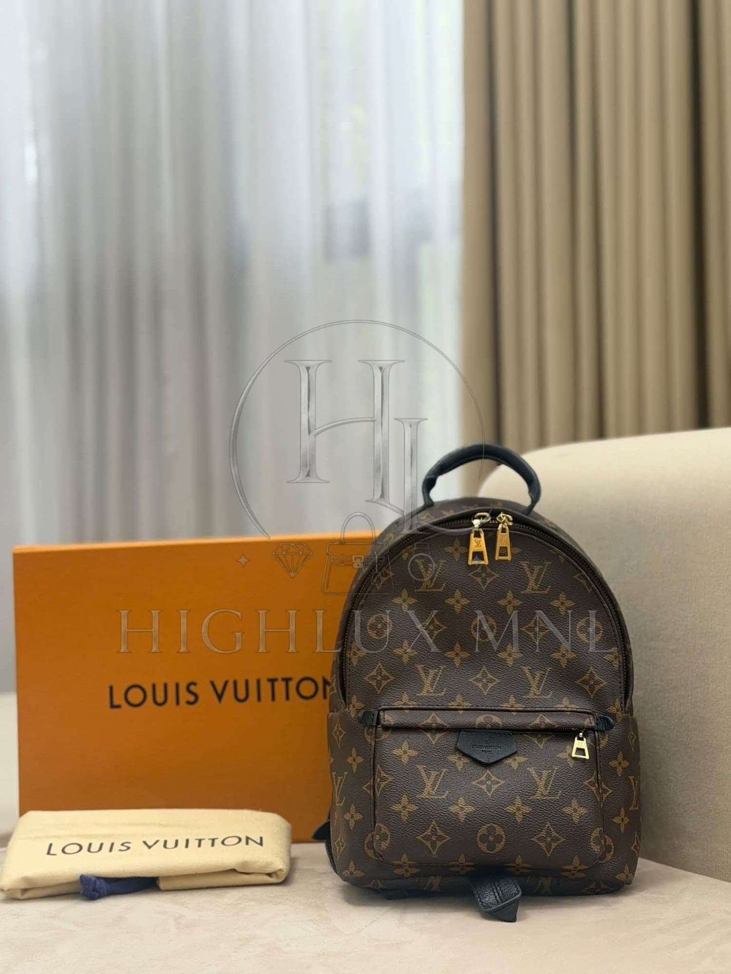 Louis Vuitton Monogram Palmspring in PM size