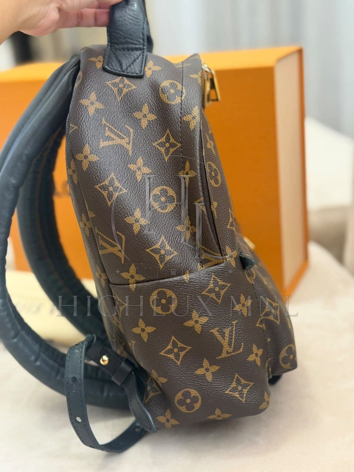 Louis Vuitton Monogram Palmspring in PM size — photo 4