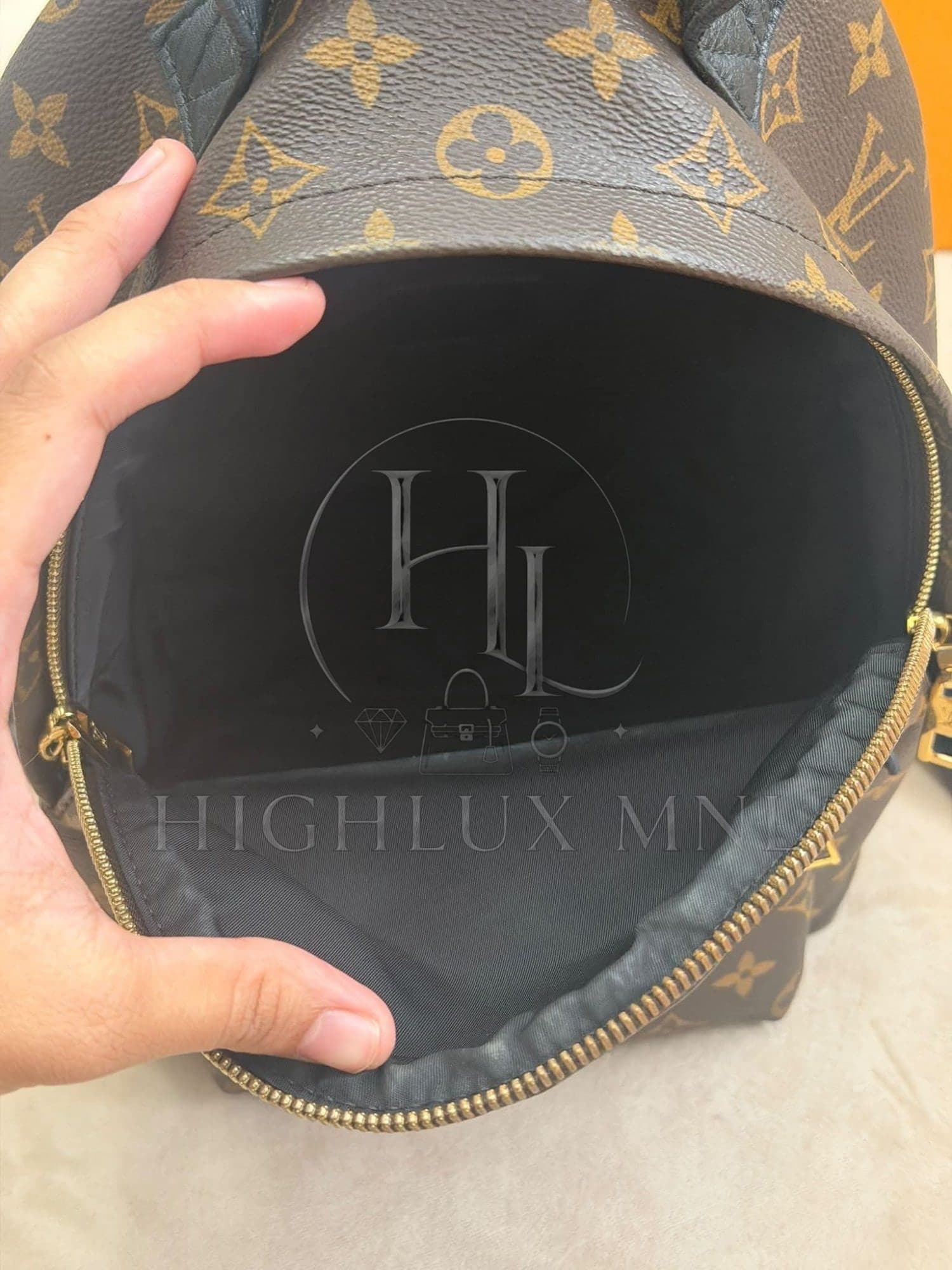 Louis Vuitton Monogram Palmspring in PM size — photo 10