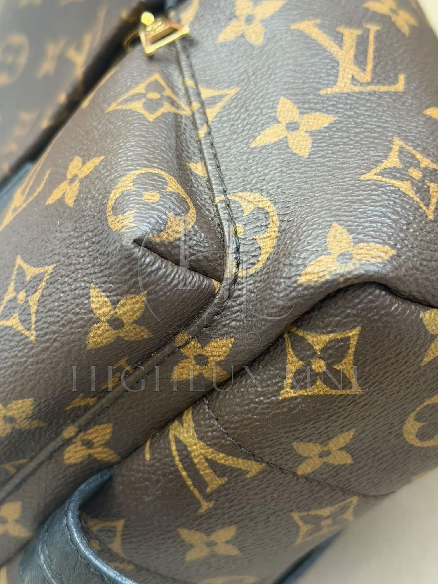 Louis Vuitton Monogram Palmspring in PM size — photo 6