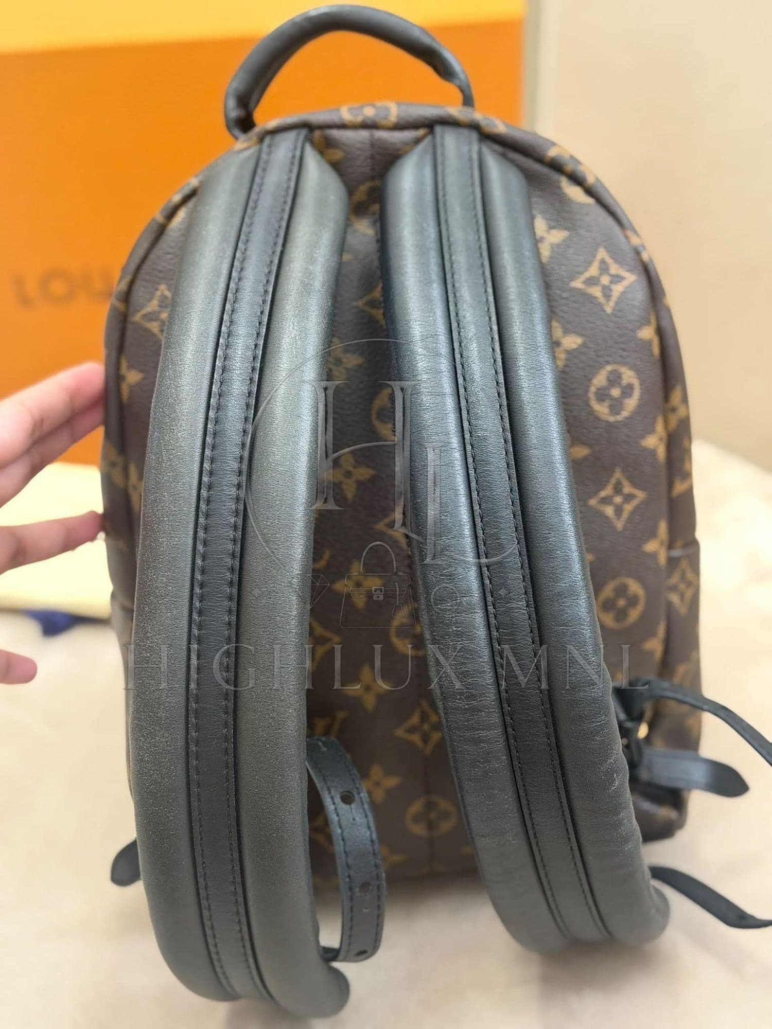 Louis Vuitton Monogram Palmspring in PM size — photo 9