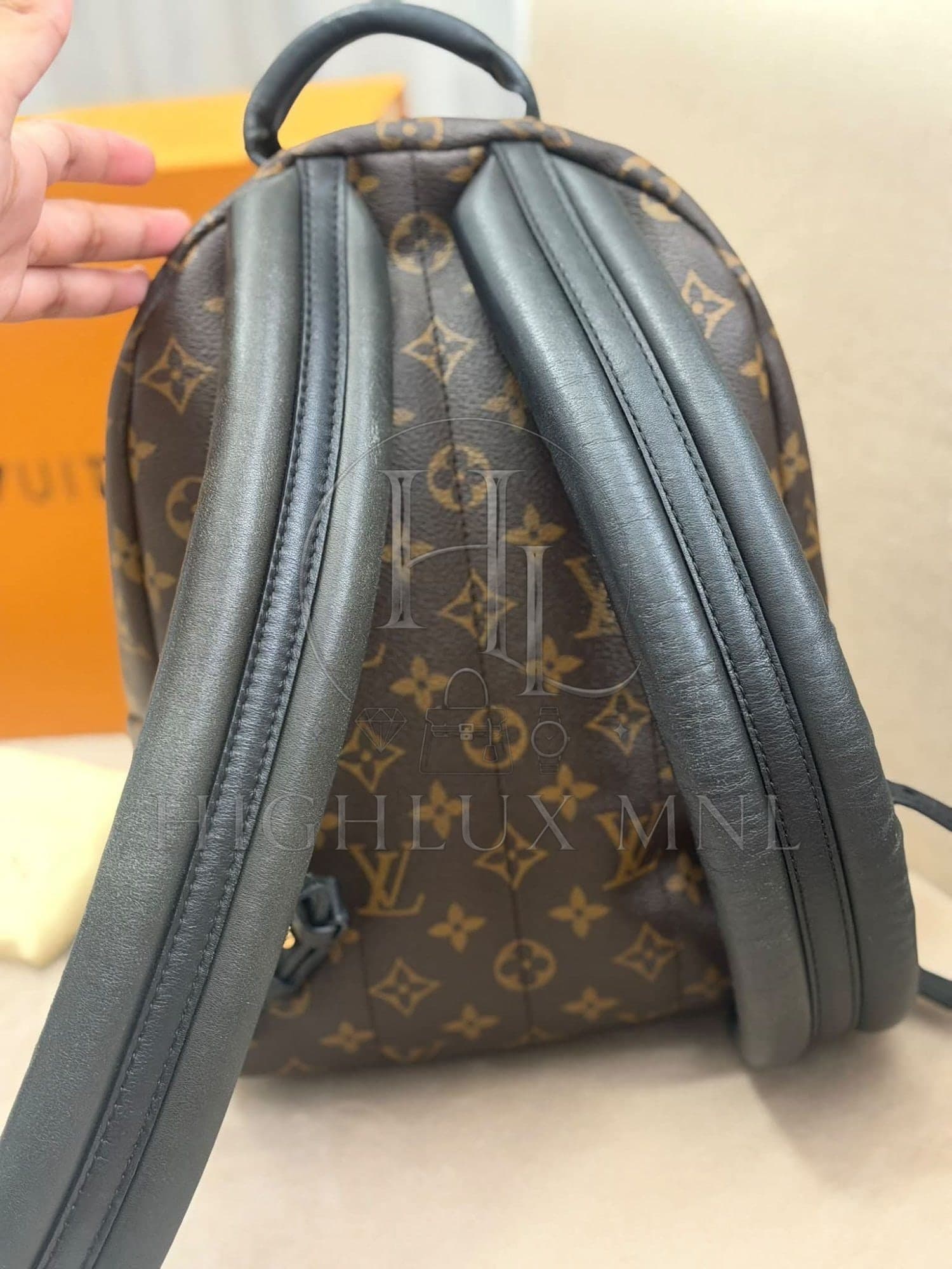 Louis Vuitton Monogram Palmspring in PM size — photo 7