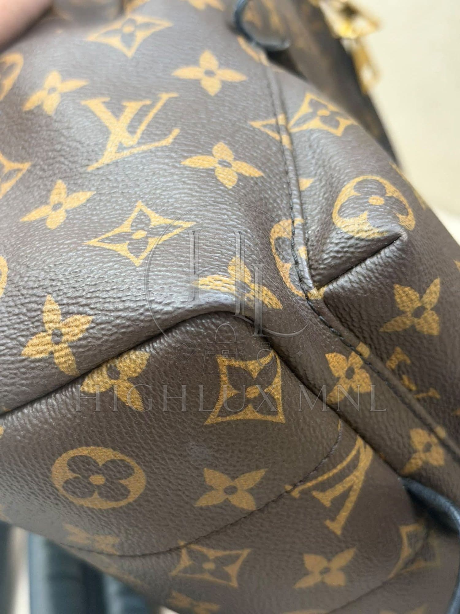 Louis Vuitton Monogram Palmspring in PM size — photo 5