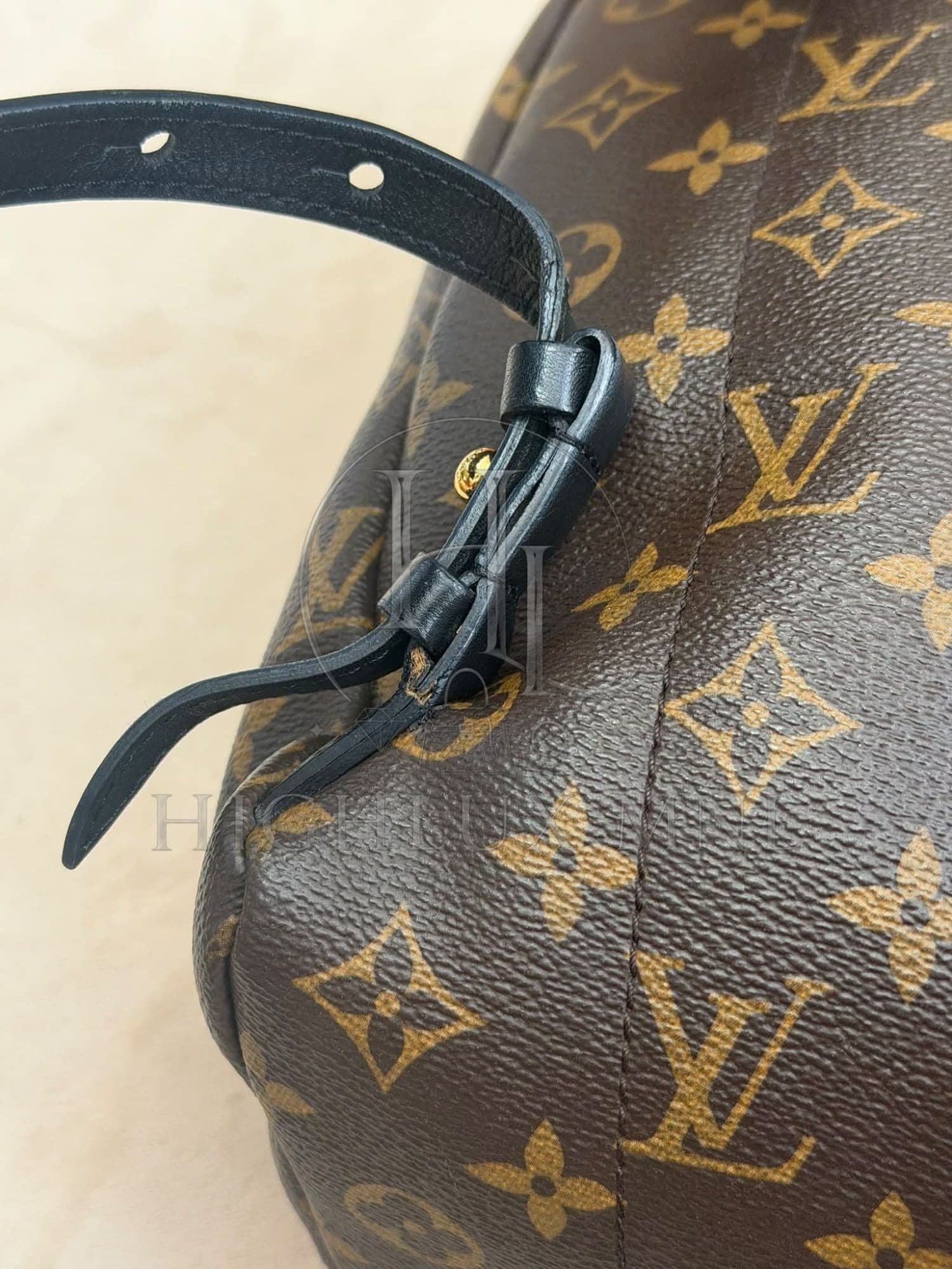 Louis Vuitton Monogram Palmspring in PM size — photo 11