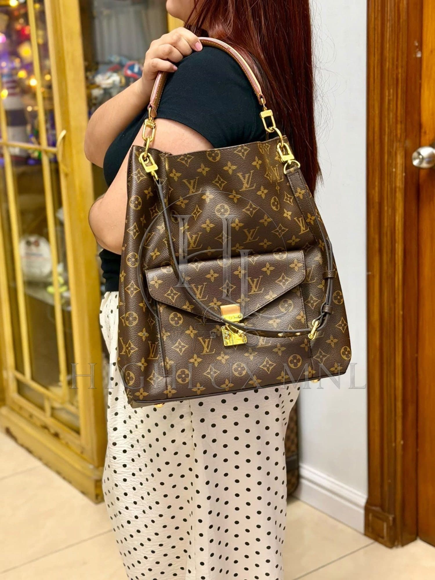 Louis Vuitton Monogram Metis Hobo