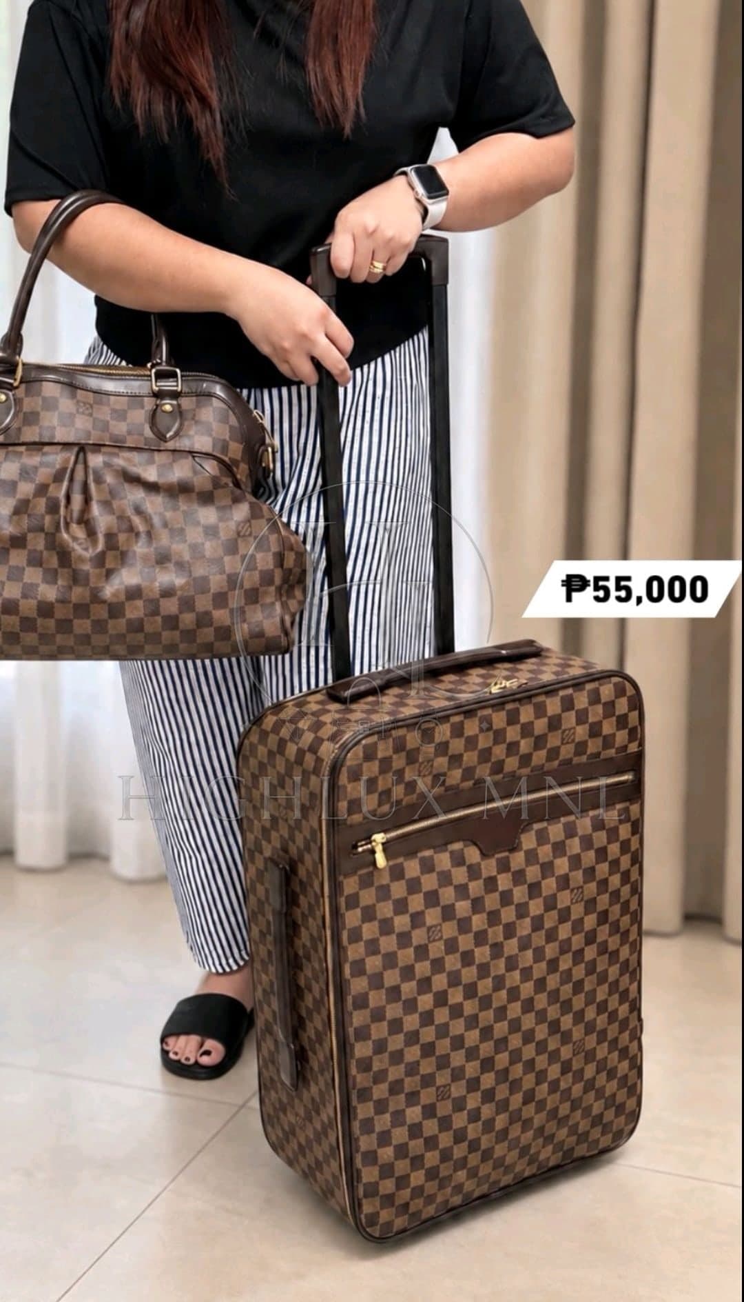 Louis Vuitton Damier Pegase 55 — photo 2