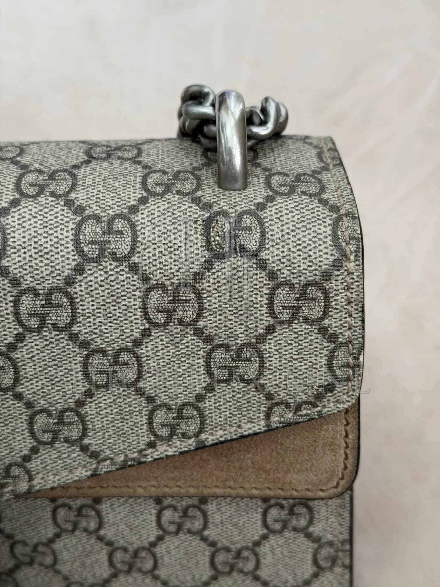 Gucci GG Dionysus Small — photo 15