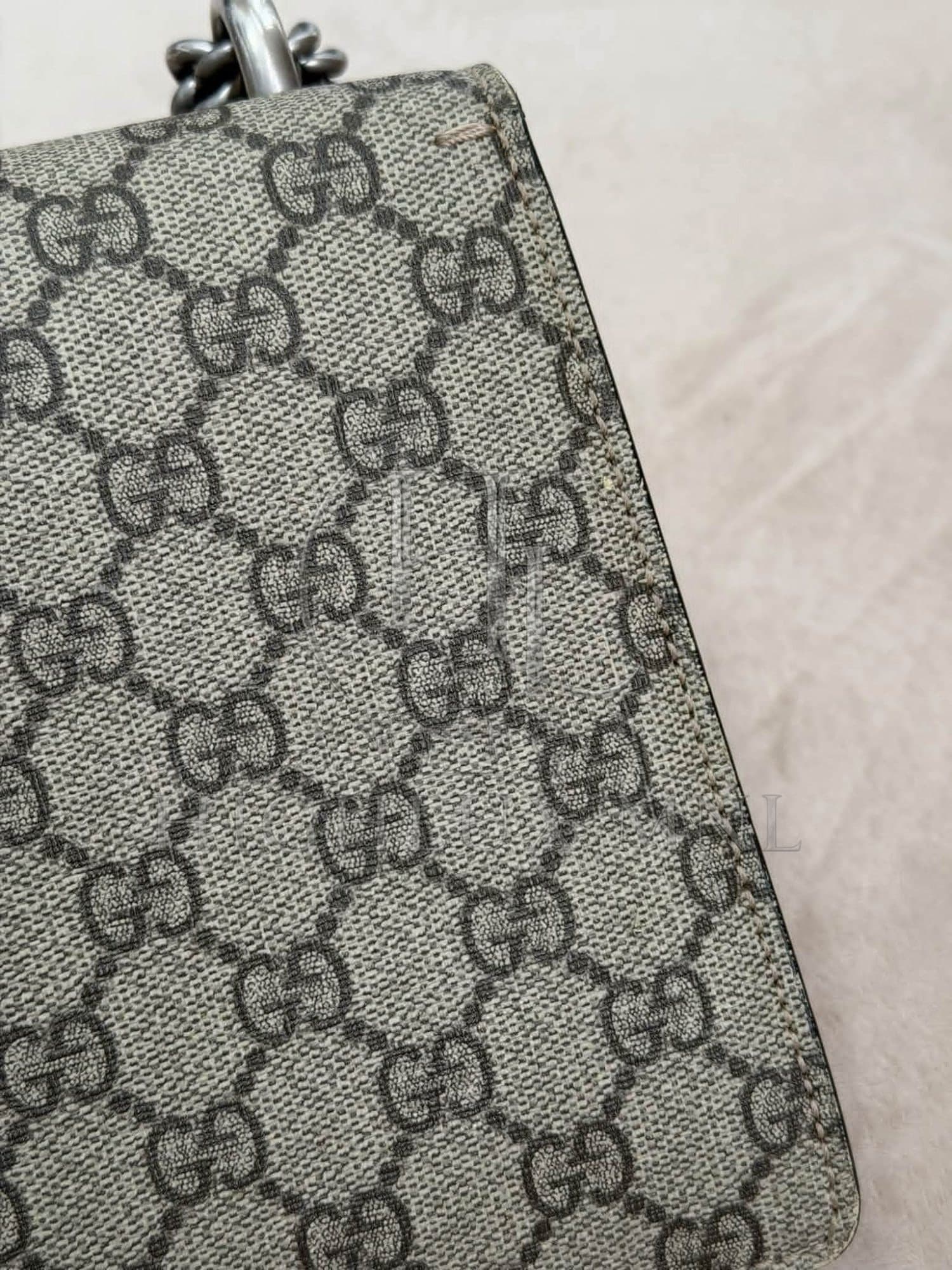 Gucci GG Dionysus Small — photo 13