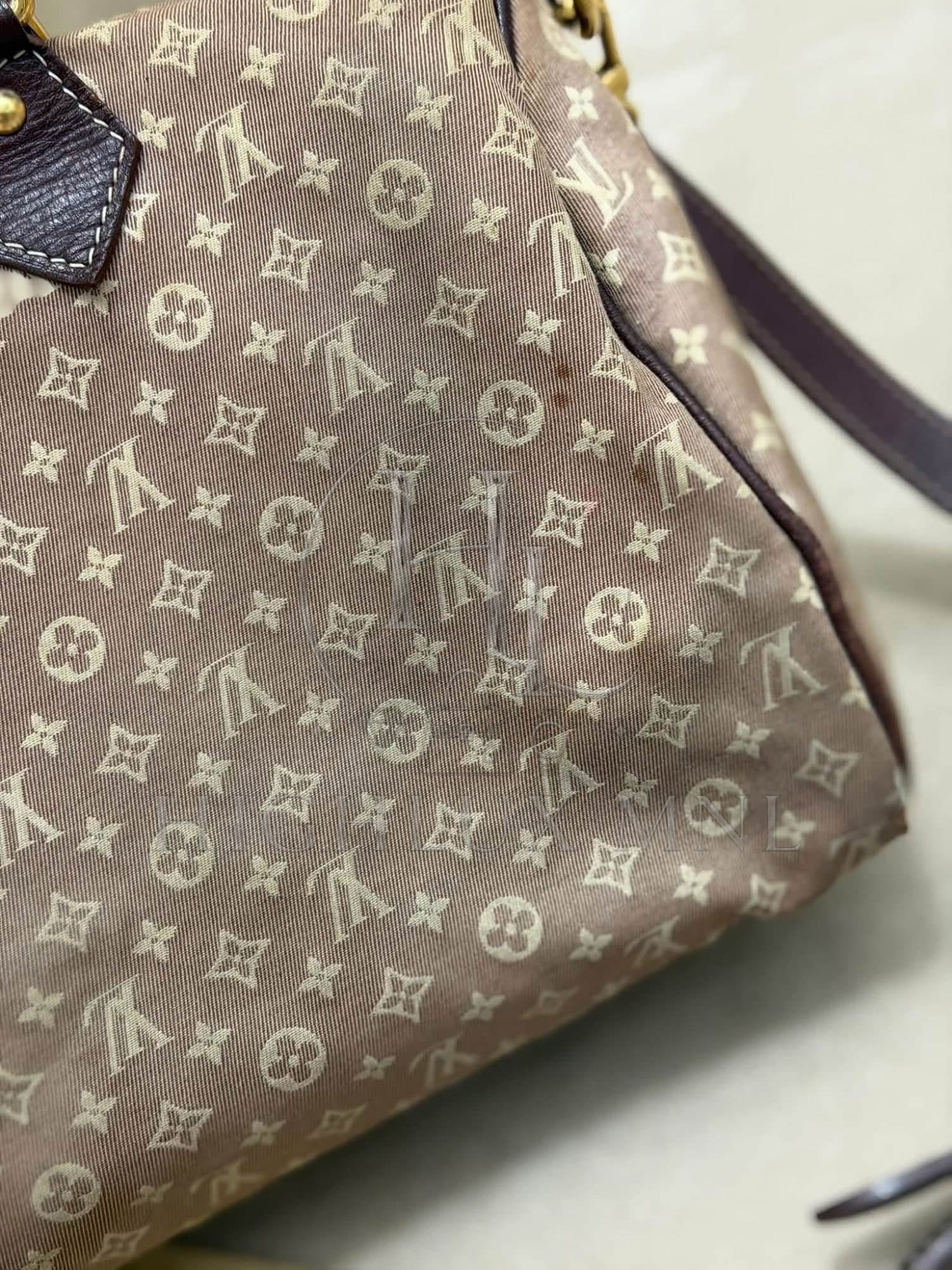 Louis Vuitton Idylle Speedy Bandouliere 30 — photo 14