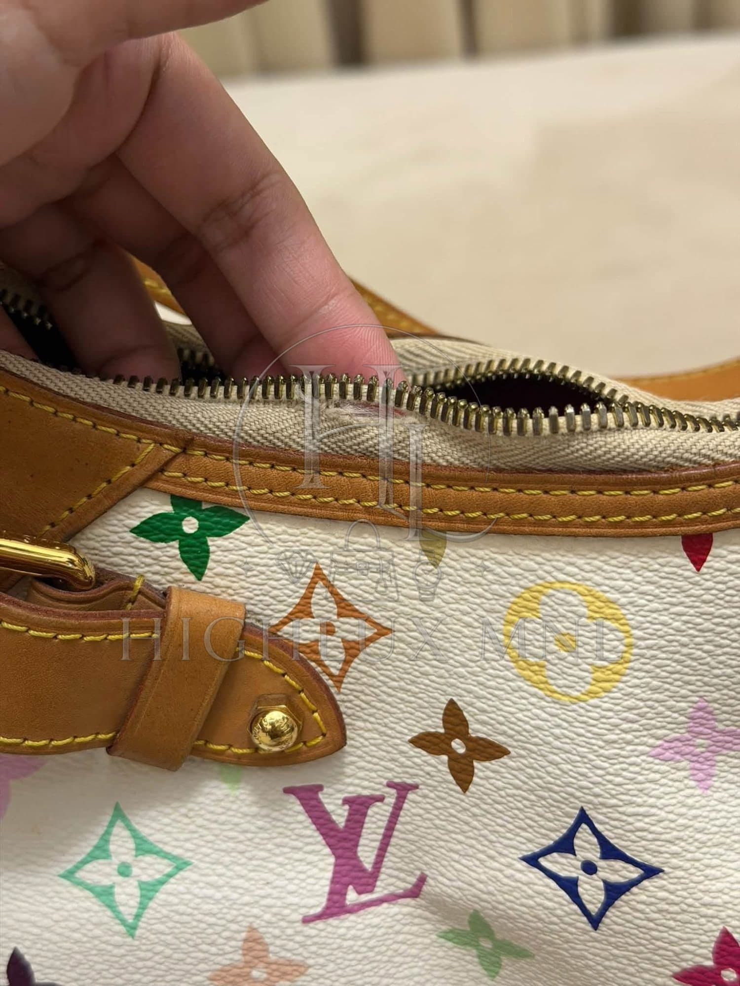 Louis Vuitton Multicolor Greta Hobo Bag — photo 14