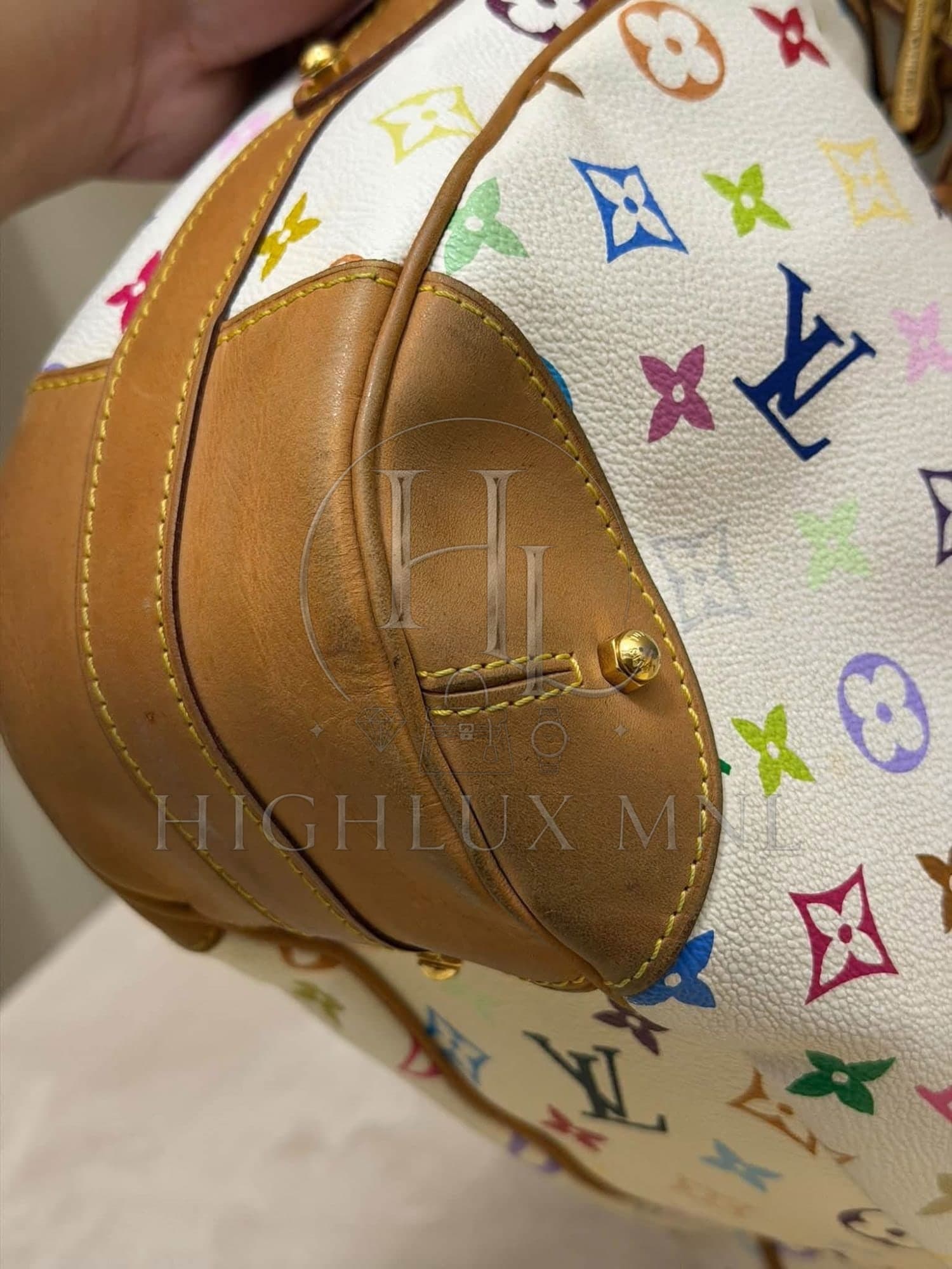 Louis Vuitton Multicolor Greta Hobo Bag — photo 9